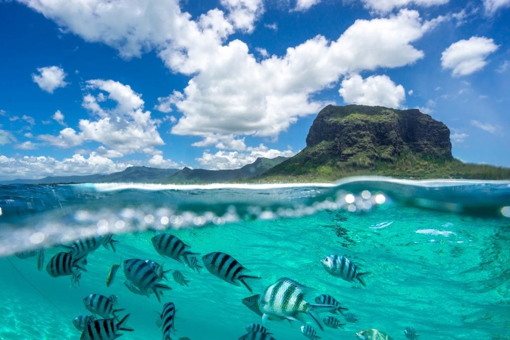 Scene from Mauritius with mountain, sea and fish underwater